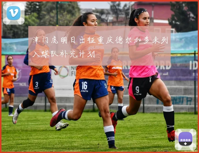 津门虎明日出征重庆德尔加多未列入球队补充计划